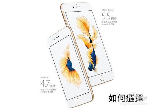 該選 iPhone 6s 還是 蘋果 6s Plus