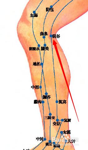 陰谷穴位位置圖和作用