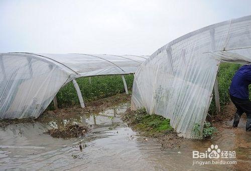 開蔬菜農場選擇農業用地需要考慮哪些因素