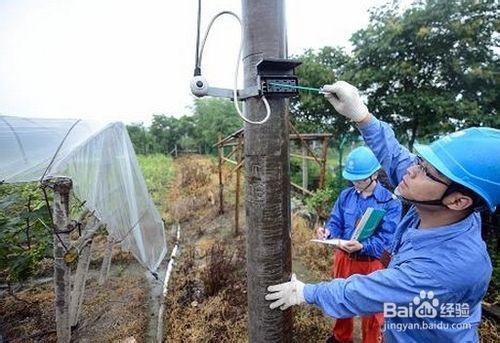 開蔬菜農場選擇農業用地需要考慮哪些因素