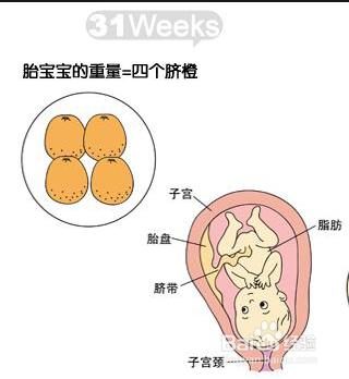 懷孕第八個月胎兒和準媽媽的症狀