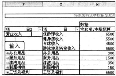 Excel2010 資料透視表中顯示的欄位內容重新組合