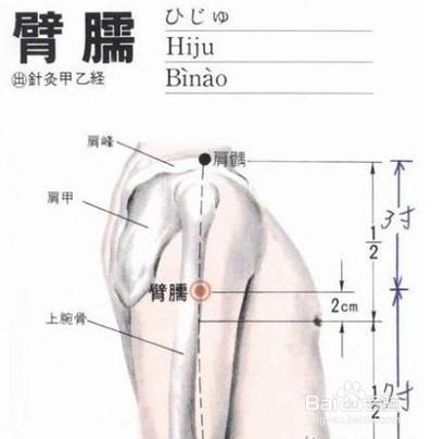 按什麼穴位可以減肥，8種超實用穴位減肥方法