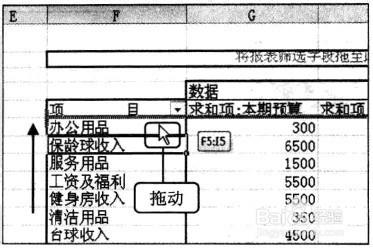 Excel2010 資料透視表中顯示的欄位內容重新組合