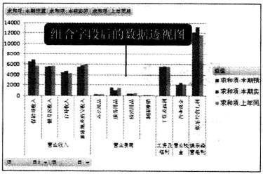 Excel2010 資料透視表中顯示的欄位內容重新組合