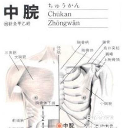 按什麼穴位可以減肥，8種超實用穴位減肥方法