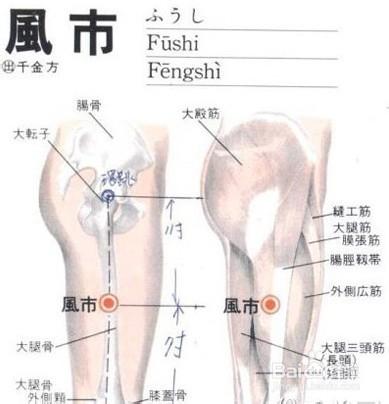 按什麼穴位可以減肥，8種超實用穴位減肥方法