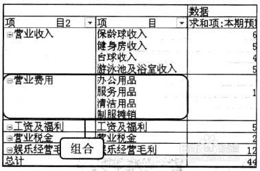 Excel2010 資料透視表中顯示的欄位內容重新組合