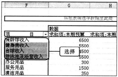 Excel2010 資料透視表中顯示的欄位內容重新組合