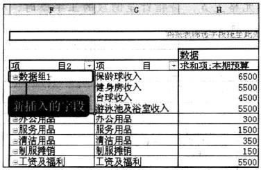 Excel2010 資料透視表中顯示的欄位內容重新組合