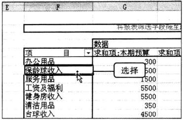 Excel2010 資料透視表中顯示的欄位內容重新組合