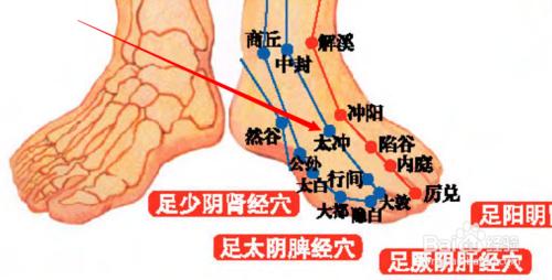 太沖穴位位置圖和作用