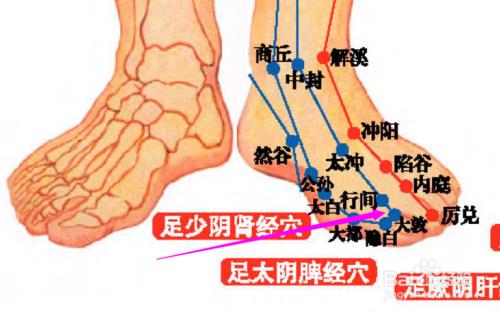 大敦穴位位置圖和作用