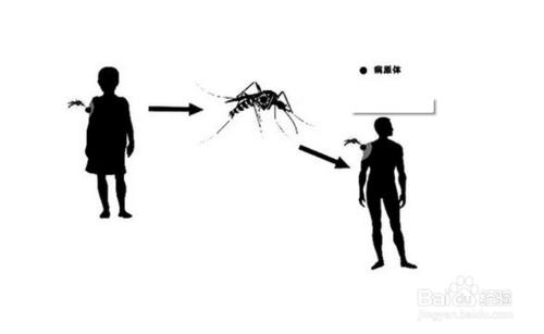 登革熱預防措施辦法，怎樣預防登革熱病