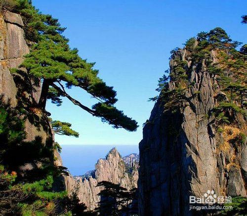 3月份適合去哪裡旅遊 黃山始信峰旅遊攻略