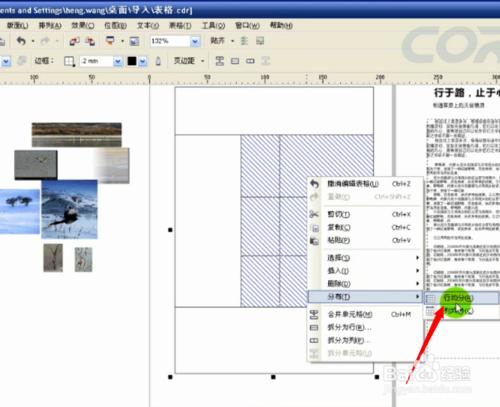 coreldraw使用方法和技巧：[12]如何用表格排版