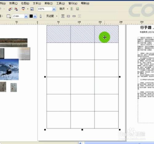 coreldraw使用方法和技巧：[12]如何用表格排版