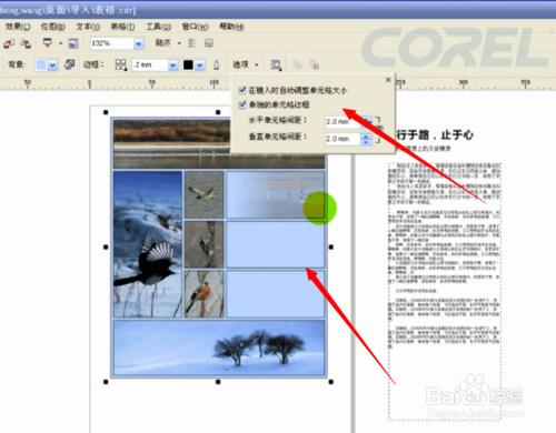 coreldraw使用方法和技巧：[12]如何用表格排版