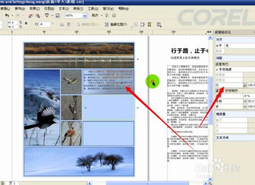 coreldraw使用方法和技巧：[12]如何用表格排版