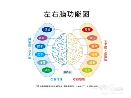 防止腦萎縮 保持思維靈敏