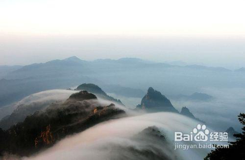 河南白雲山旅遊攻略