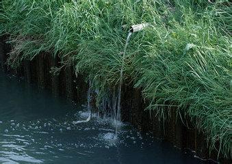 淨水器如何選型