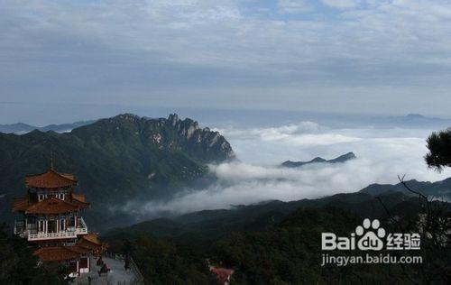 河南白雲山旅遊攻略