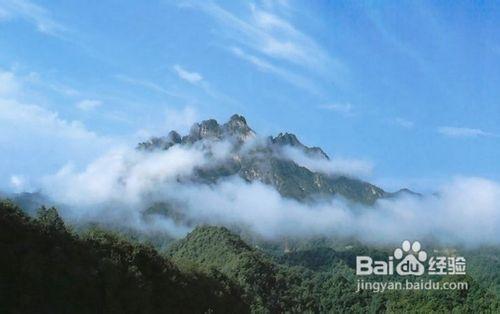 河南白雲山旅遊攻略