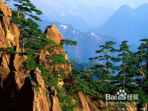 上海到黃山旅遊，如何安排黃山二日遊、三日遊？