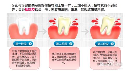 關於牙膏護齦修復問題