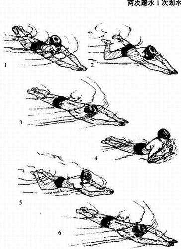怎樣進行兩次蹬水1次划水訓練