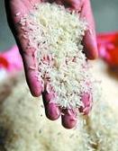 怎樣辨別大米是否發黴