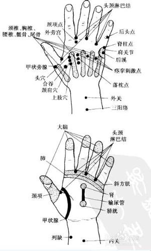 頭頸部按摩手法：[2]頸部自我按摩