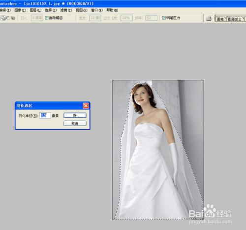背景單一的婚紗照用PS如何快速摳圖