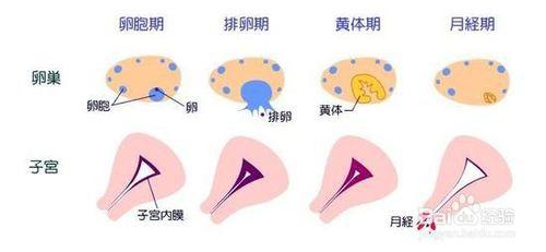 女生痛經怎麼調理，來大姨媽怎麼辦