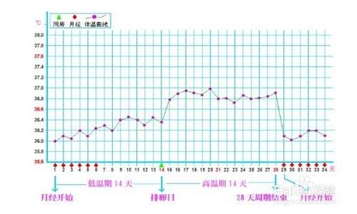 孕婦孕酮低怎麼辦