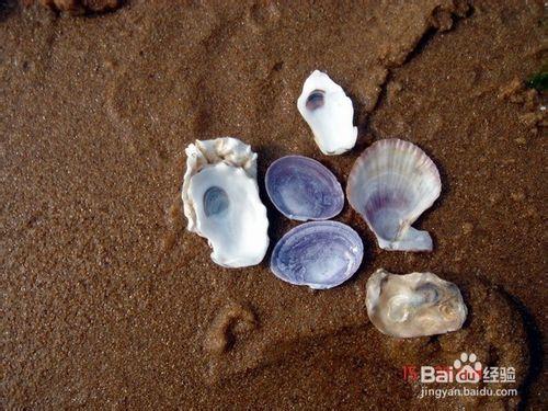 美麗海邊山東威海旅遊攻略，海島、沙灘