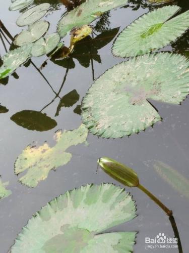 廈門海灣公園