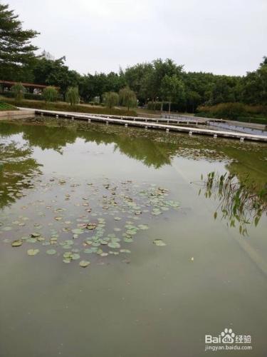 廈門海灣公園