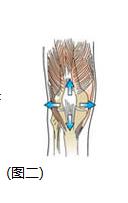 膝關節痛是怎麼回事
