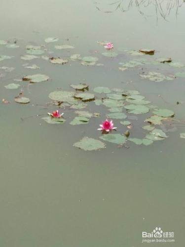 廈門海灣公園