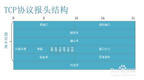 各種協議報頭解析（乙太網，IP，TCP，UDP報頭）