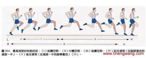 跑步的正確姿勢