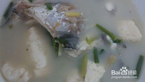 教你如何製作美容的鯽魚豆腐湯