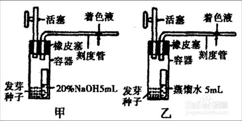 如何學習高中生物細胞呼吸