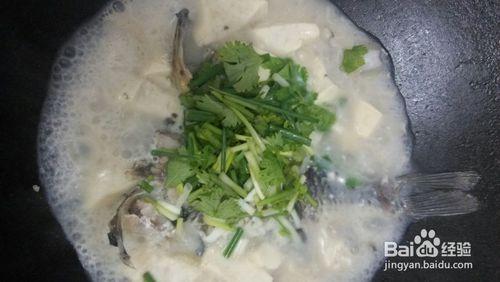 教你如何製作美容的鯽魚豆腐湯