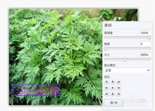 淘寶新賣家如何利用淘寶免費工具之圖片上寫字