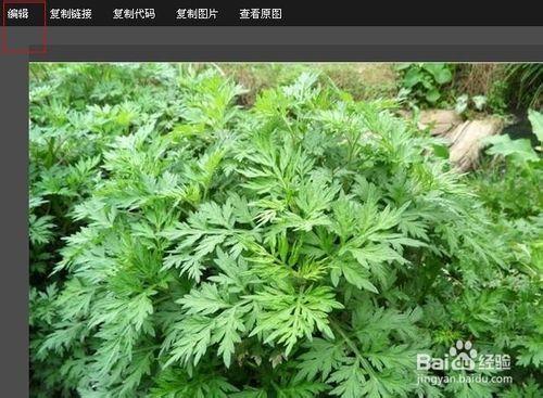 淘寶新賣家如何利用淘寶免費工具之圖片上寫字