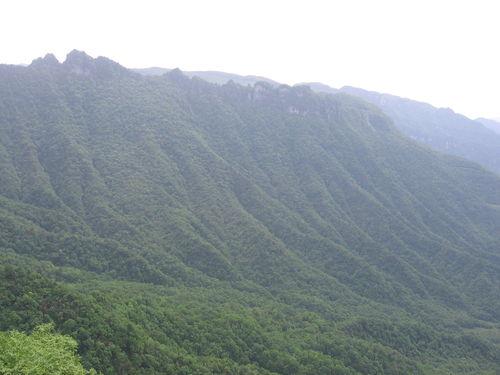 【帶你玩】神農架自駕旅遊攻略