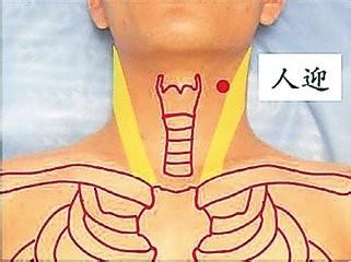 四大養生穴位的按摩方法。